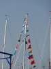 50 Jahre YCP