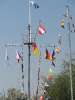 50 Jahre YCP