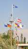 50 Jahre YCP - Flottenfahrt