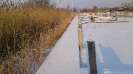 YCP im Dezember