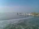 YCP im Feb 2011