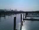 YCP im Feb 2011