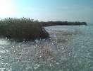 YCP im Feb 2011