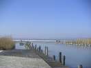 YCP im Januar