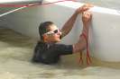 YCP-Sailing Week 8. 7. 2013
