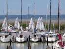 SC 2014 - Buntes Treiben 24. 5. 2014