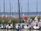 SC 2014 - Buntes Treiben 24. 5. 2014