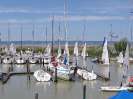 SC 2014 - Buntes Treiben 24. 5. 2014