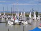 SC 2014 - Buntes Treiben 24. 5. 2014