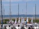 SC 2014 - Buntes Treiben 24. 5. 2014