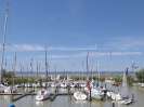 SC 2014 - Buntes Treiben 24. 5. 2014