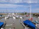 SC 2014 - Buntes Treiben 24. 5. 2014