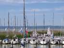SC 2014 - Buntes Treiben 24. 5. 2014