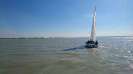 Ansegeln 2016
