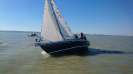 Ansegeln 2016