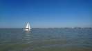 Ansegeln 2016