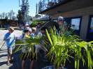 YCP Sailing Week 2017