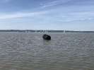 Ansegeln 2018