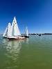 Absegeln 2024