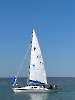 Absegeln 2024