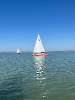 Absegeln 2024