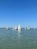 Absegeln 2024
