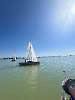 Absegeln 2024