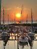 YCP Sailing Week 2024
