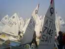 Erste Optitregatta in Grado