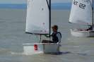 YCP Regatten 2014