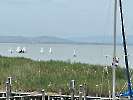 YCP Sailing Week 2023