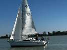Absegeln 2024